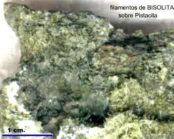 filamentos de BISOLITA sobre Pistacita - Albatera - Alicante  (recogido por Jesus Claramunt)