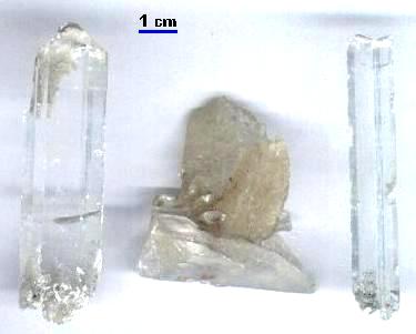 Cristales de YESO - Verdegas - Alicante  (recogido por J. R. Pastor Aliaga)