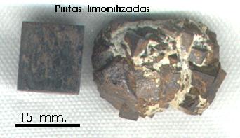 PIRITA limonitizada de Cornago - La Rioja  ( recojido por Jesus Claramunt)
