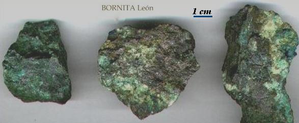 BORNITA de mina Profunda de Carmenes - León