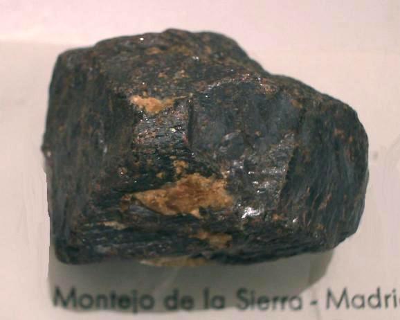 RUTILO de Montejo de la Sierra, recogido por Luis Abad, ampliado x 2