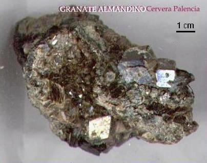 Granate ALMANDINO de Cervera de Pisuerga - Palencia