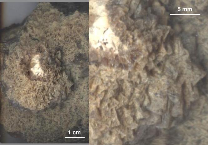 CALCITA de resina fósil de Montalbán (recogido por Pedro Berástegui)