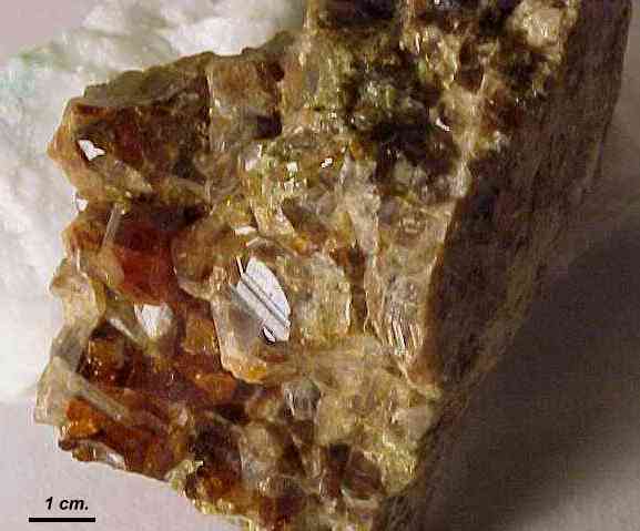 Granate GRUSULARIA de Fermoselle  ( foto cedida por Javier Talens )