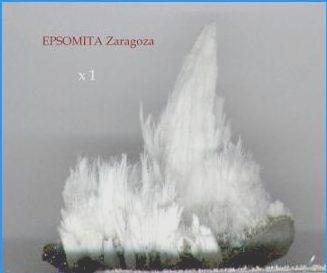 EPSOMITA Calatayud Zaragoza  (Recogida por Javier Talens)