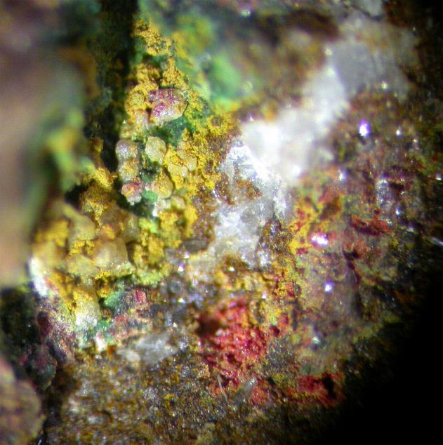 CORDEROITA cristal 2 mm - Chovar