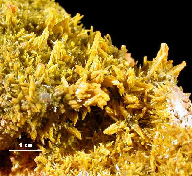 PIROMORFITA acicular amarilla, mina Resuperferolítica de Santa Eufemia