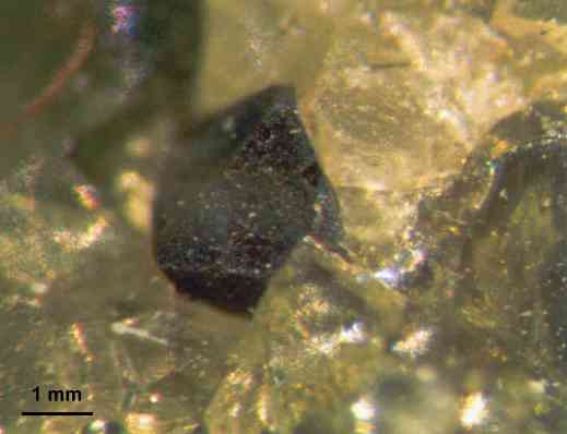 cristal de PICOTITA ( variedad de Espinela con Cromo ) de Llemena