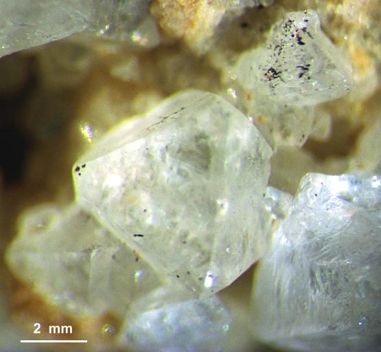 cristales de SCHEELITA transparente de la mina Alegria Morille.