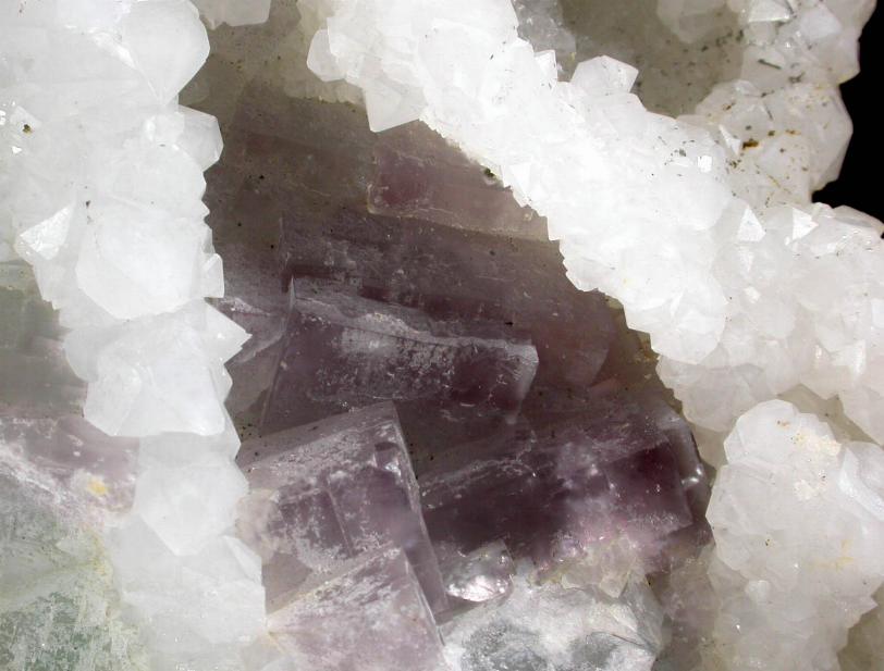 FLUORITA violeta cristales de 15 mm. sobre CUARZO de El Haman
