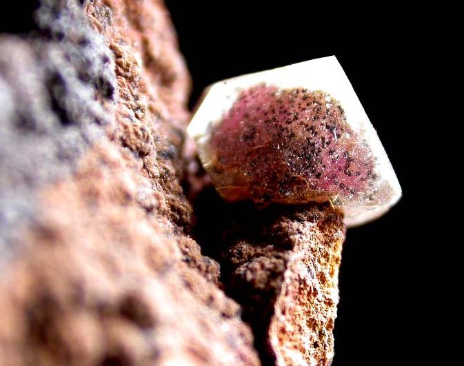 ADAMITA cobaltifera de Mapimi, cristal 6 mm.