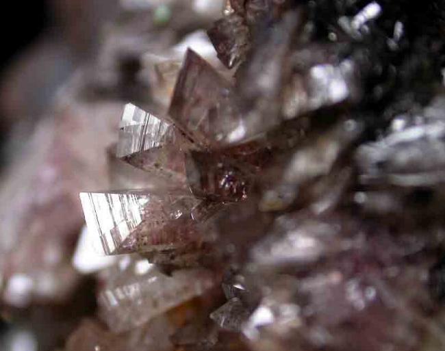 COBALTOADAMITA de Mapimi, cristales hasta 1 cm.