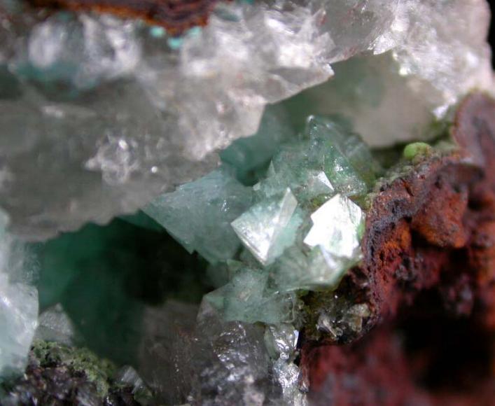 CUPROADAMITA de Mapimi, cristales hasta 5 mm.